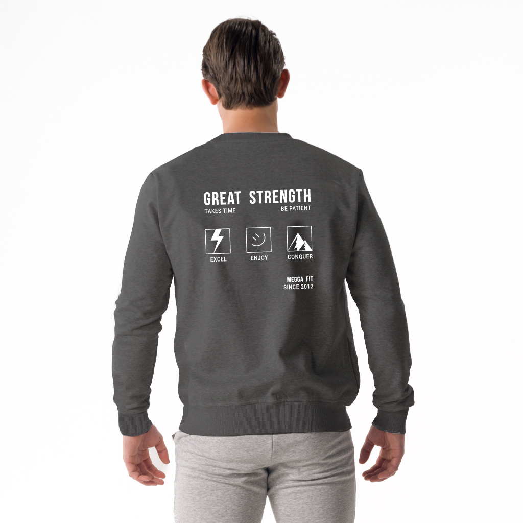 17011 - Luc Men's Casual Roundneck Antra Mel.