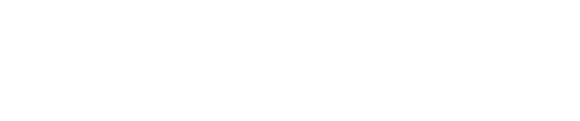 Megga Fit