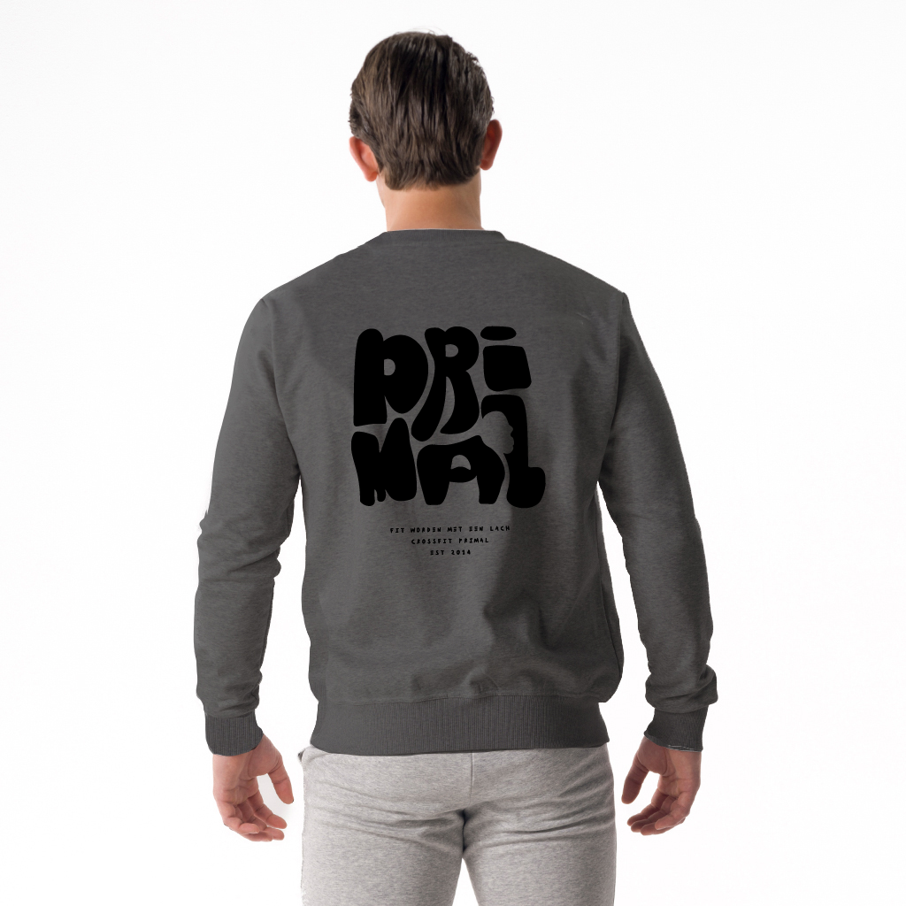 7015 - Luc Men's Casual Roundneck Antra Mel.